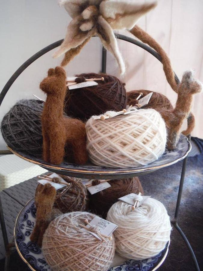 Nariz Monte Frio Alpacas 빌라 외부 사진