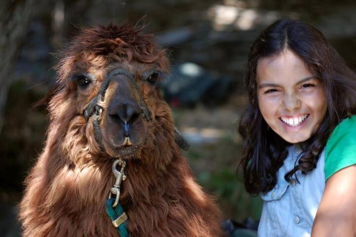 Nariz Monte Frio Alpacas 빌라 외부 사진