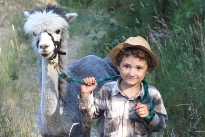 Nariz Monte Frio Alpacas 빌라 외부 사진