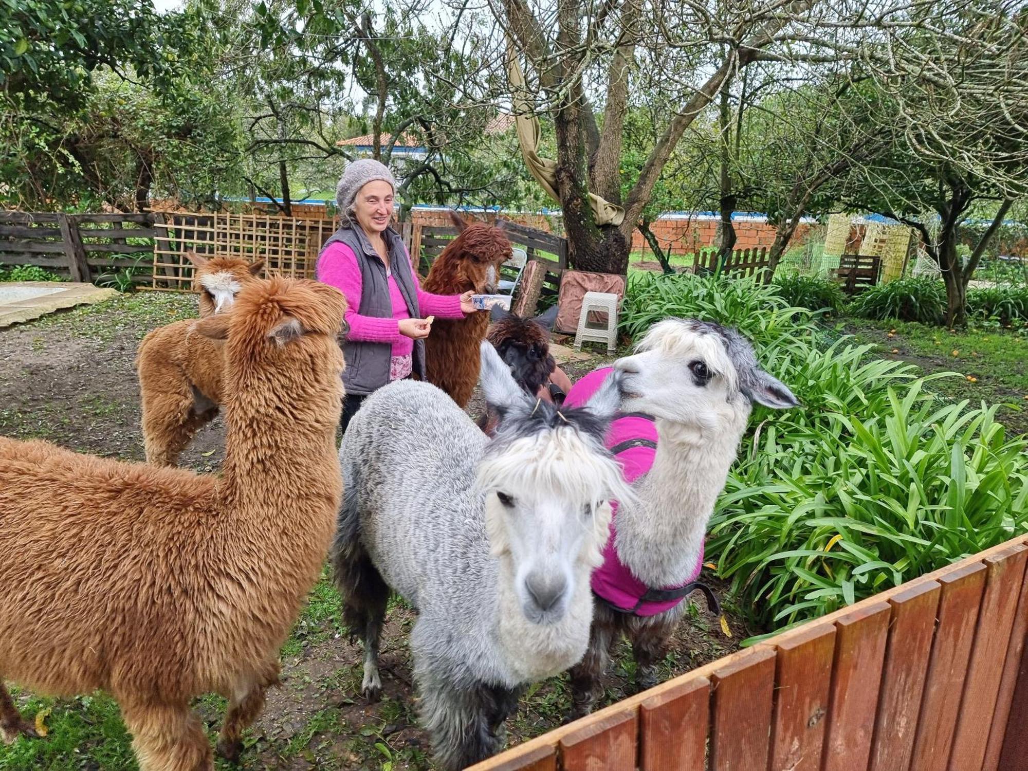 Nariz Monte Frio Alpacas 빌라 외부 사진